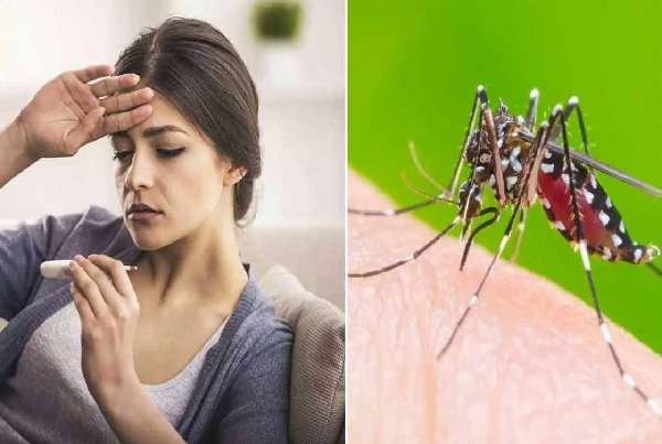 Malaria and Dengue