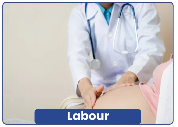 Labour