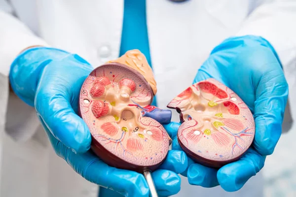 Nephrology